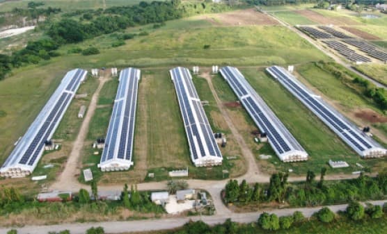Cloud Solar Guinea
